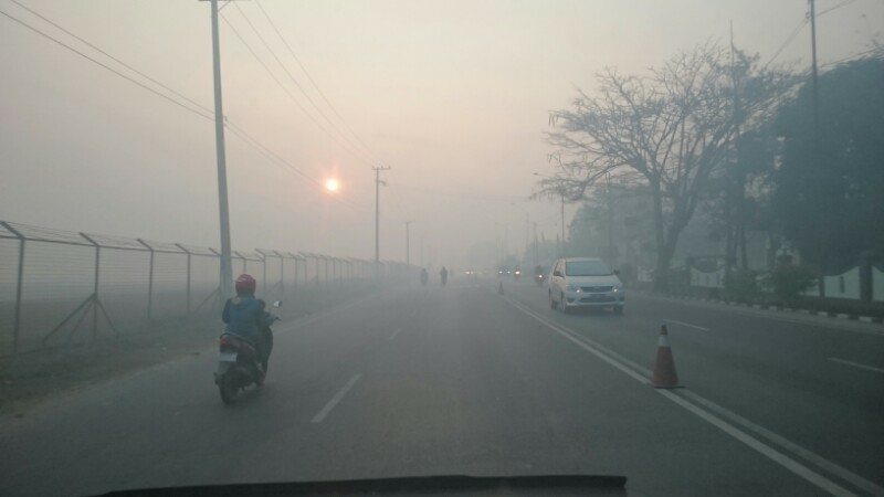 5 Penyebab Kabut Asap Semakin Parah di Indonesia