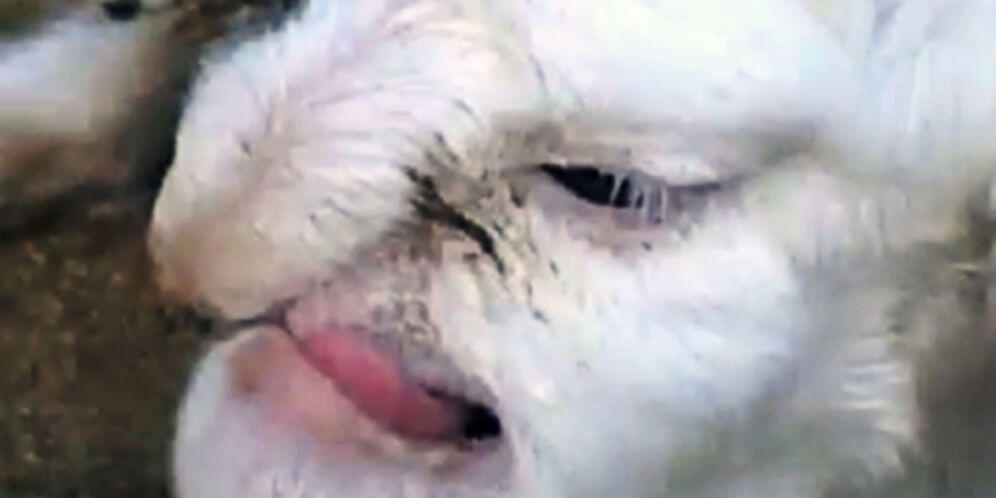 10 Tanda Mengerikan Dunia Kiamat Pada 28 September