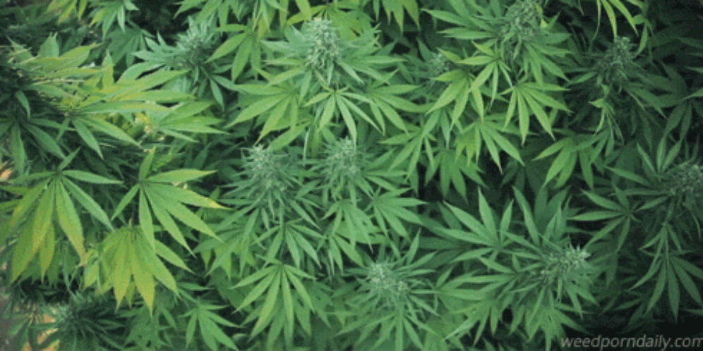 10 Tanda Mengerikan Dunia Kiamat Pada 28 September