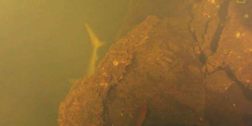 10 Tanda Mengerikan Dunia Kiamat Pada 28 September