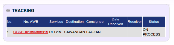 PAKET JNE REGULER + ASURANSI ENTAH KEMANA