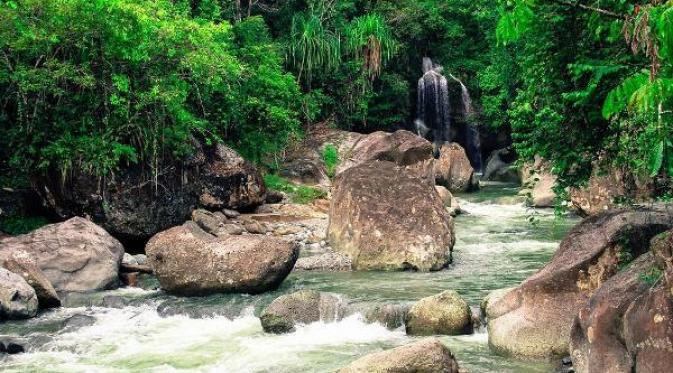 Tempat Terbaik Untuk Merasakan Kehidupan Alam Liar di Indonesia