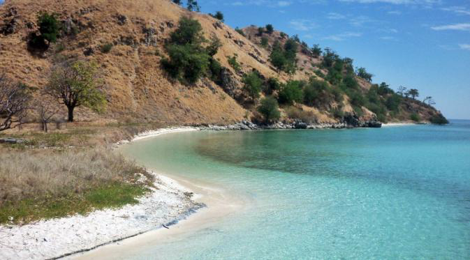 Tempat Terbaik Untuk Merasakan Kehidupan Alam Liar di Indonesia