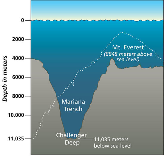 Menerobos Kedalaman Palung Laut Mariana