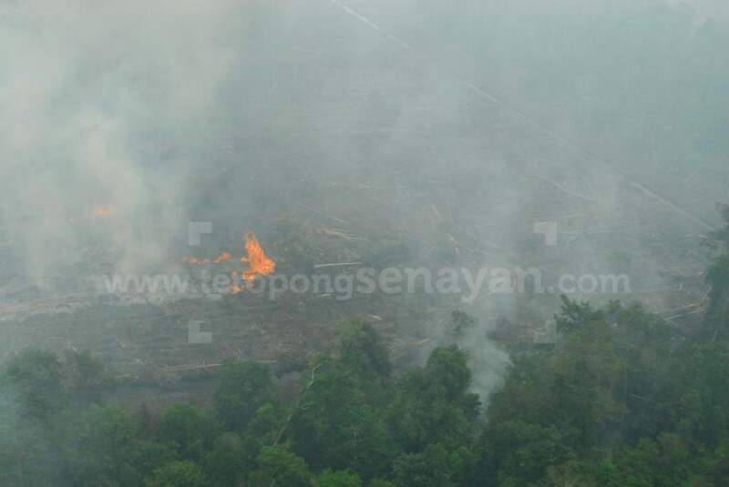 Gagal padamkan kebakaran hutan, Pemerintahan Jokowi dituding Langgar HAM