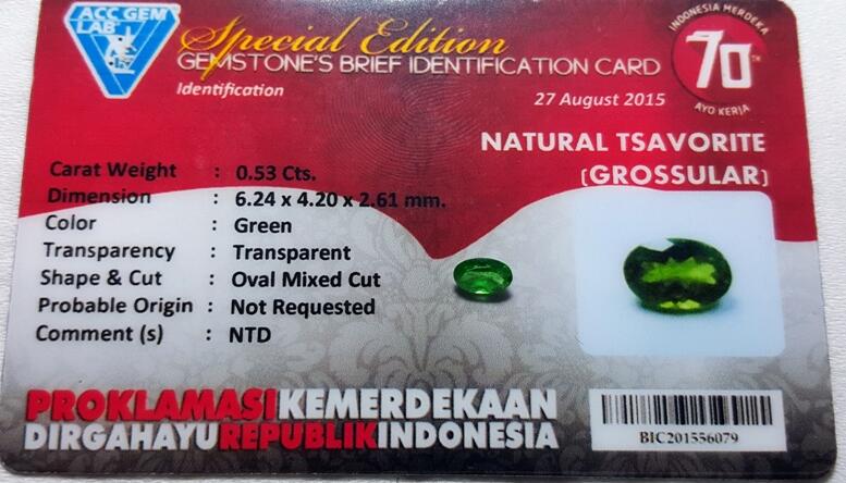 LELANG EDISI PULANG KAMPUNG CANTONAPOENYA! TOP GEMS WITH TOP 925 SILVER