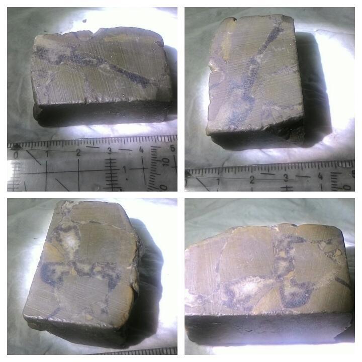 LELANG KEMARAU MSH PANJANG(LABRA,PW,SISIK NAGA,DLL) CLOSE 23/9 22:00 AUTOCLOSE
