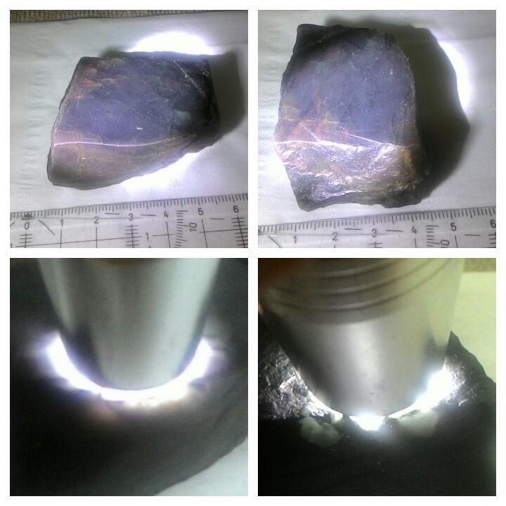 LELANG KEMARAU MSH PANJANG(LABRA,PW,SISIK NAGA,DLL) CLOSE 23/9 22:00 AUTOCLOSE