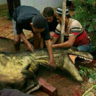 hal hal unik saat qurban gan