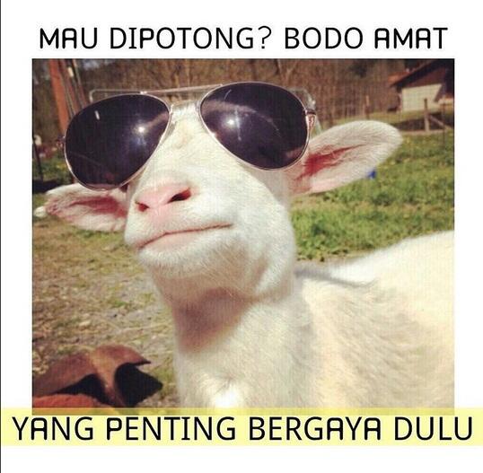 ~ Mohon Maaf Lahir Batin Ied Adha Mubarak ~