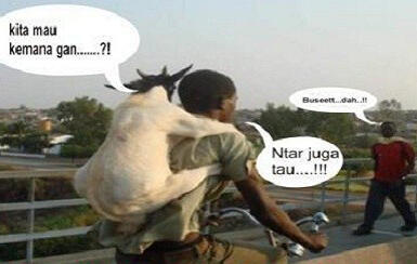 ~ Mohon Maaf Lahir Batin Ied Adha Mubarak ~