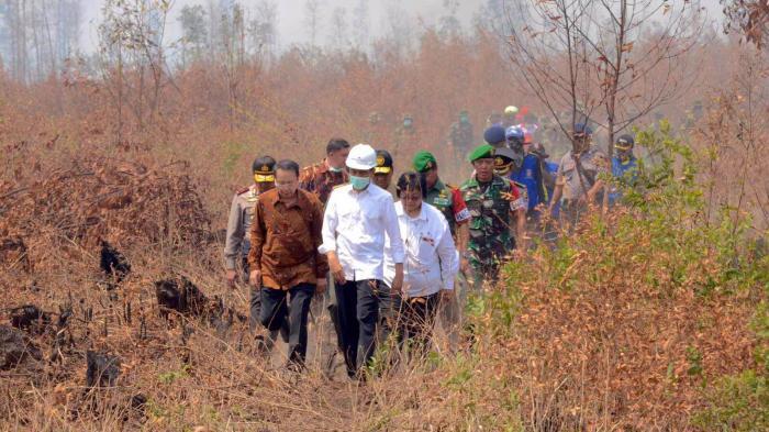Kali Ini Presiden Jokowi Tinjau Kebakaran Lahan Pakai Masker