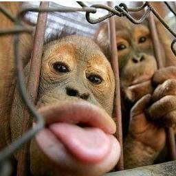 Menumbuhkan Minat Menulis Sambil Memperkenalkan Kaskus