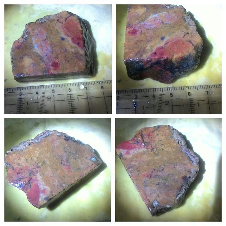 LELANG LAGI SAMBIL NYATE MBEEE(PANCAWARNS,BACAN PAPUA,DLL)CLOSE 26/9 22:00 AUTOCLOSE