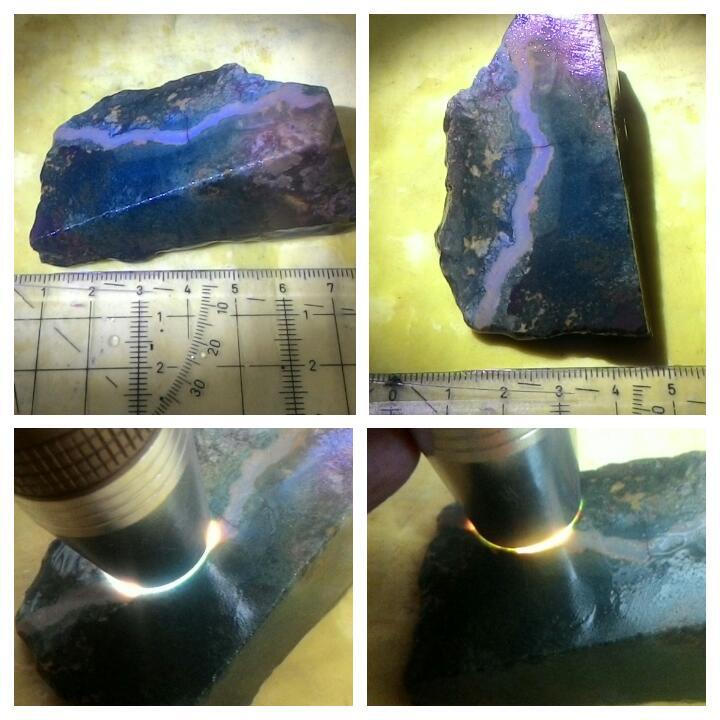 LELANG LAGI SAMBIL NYATE MBEEE(PANCAWARNS,BACAN PAPUA,DLL)CLOSE 26/9 22:00 AUTOCLOSE