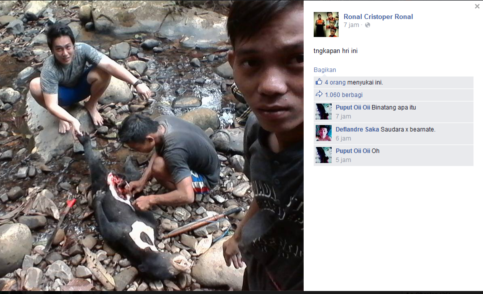 Lagi dan lagi Ronal Cristoper sang Pemburu Karbitan 