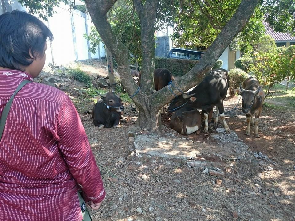 Pegawai Dinsos DKI Rayakan Idul Adha Bersama di Panti
