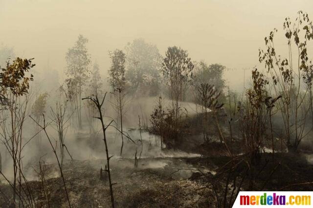 FOTO: Aksi Jokowi Terus Pantau Pemadaman Lahan Gambut di Kalimantan