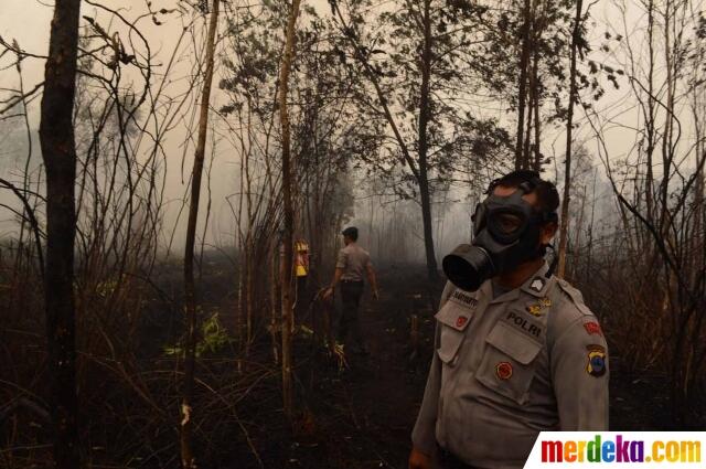 FOTO: Aksi Jokowi Terus Pantau Pemadaman Lahan Gambut di Kalimantan
