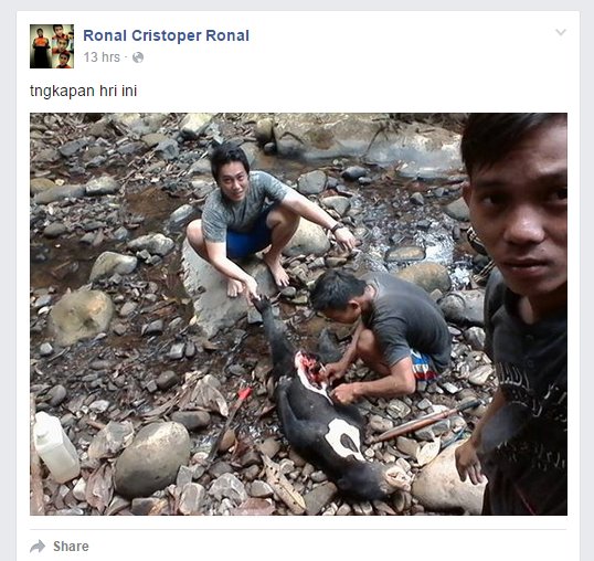 &#91;MIRIS&#93; Penganiaya BERUANG MADU yang dengan bangga memostingnya di FB. 