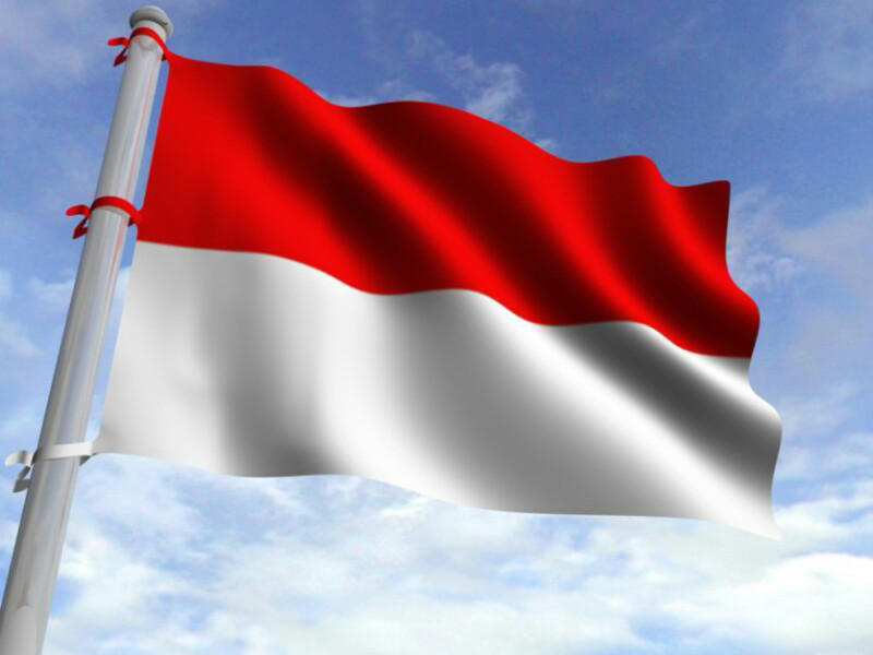 21 hal yang membanggakan
Indonesia di Mata dunia