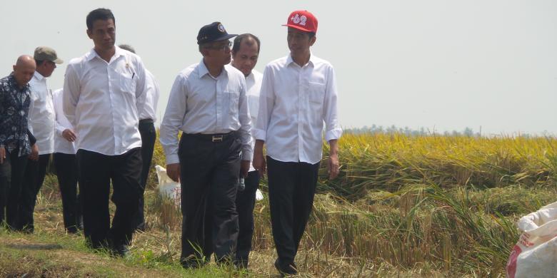 &#91;Wajib HT&#93; Kenakan Topi Ala Anak Muda, Jokowi Turun ke Sawah di Karawang