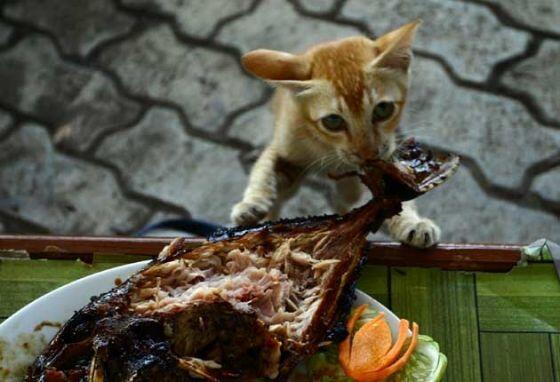 Ngaku Deh, Pasti Ini Sering Terjadi Di Kosan Agan