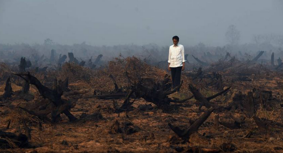 Foto Sedih Presiden Jokowi Tembus Hutan yang Hangus