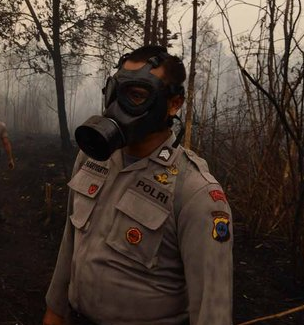 Foto Sedih Presiden Jokowi Tembus Hutan yang Hangus