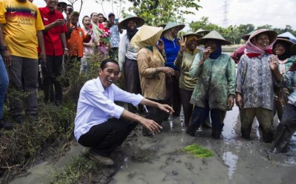 Jokowi Hebat, Tak Ada Gejolak Meski Rupiah Tembus 15 Ribu per USD