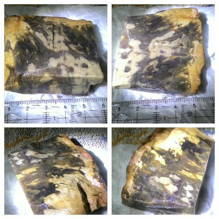 LELANG AWAL BULAN,REJEKI BARU(LUMUT,PANCAWARNA,DLL)CLOSE 1/10 22:00 AUTOCLOSE