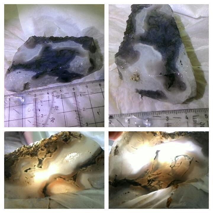 LELANG AWAL BULAN,REJEKI BARU(LUMUT,PANCAWARNA,DLL)CLOSE 1/10 22:00 AUTOCLOSE