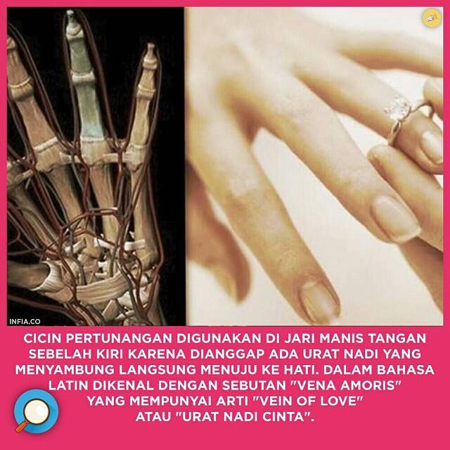 INFIA FACT