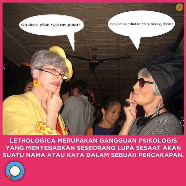 INFIA FACT