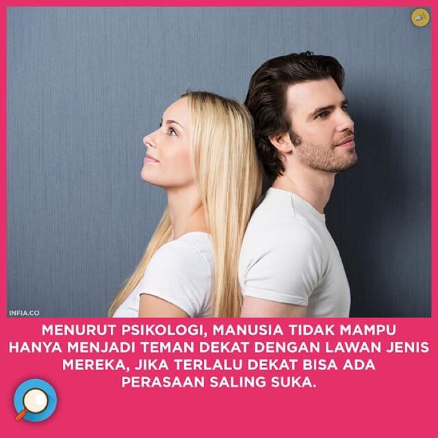 INFIA FACT