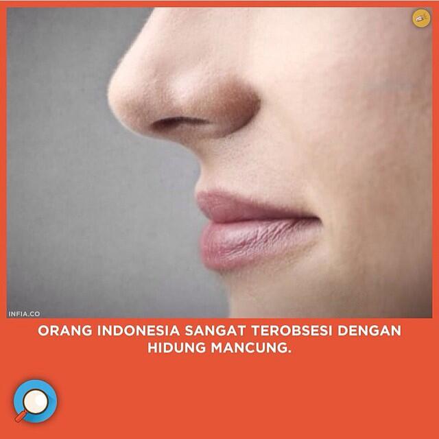INFIA FACT