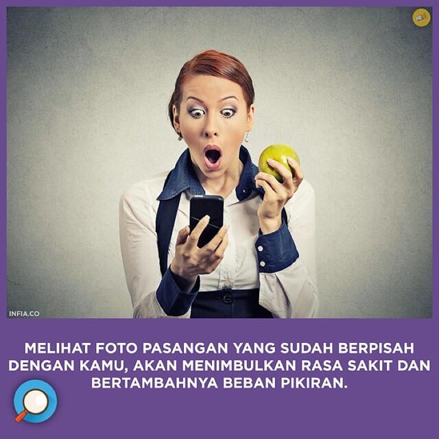 INFIA FACT
