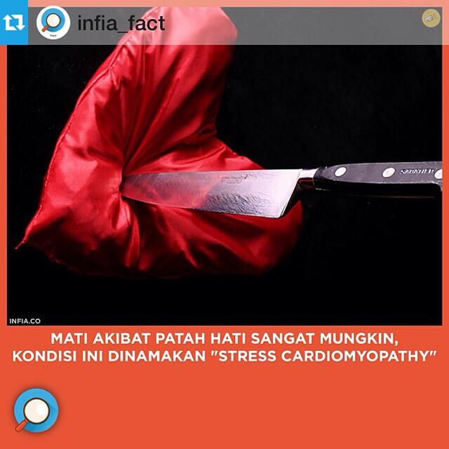 INFIA FACT