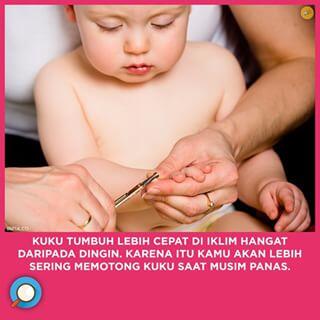 INFIA FACT