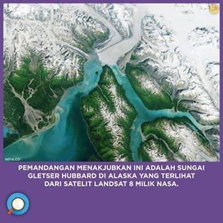 INFIA FACT