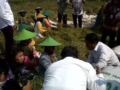 Foto Turun ke Sawah, Mentan 'Traktir' 20 Ibu-Ibu Buruh Tani