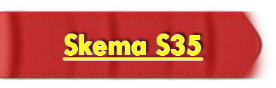 S35 Automatic Telkomsel MLM