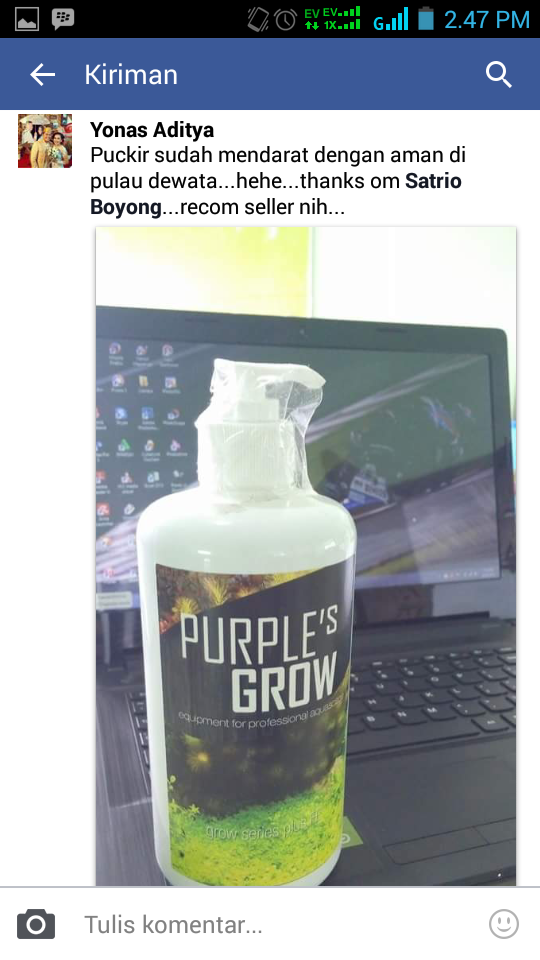 pupuk cair aquascape PURPLE'S GROW