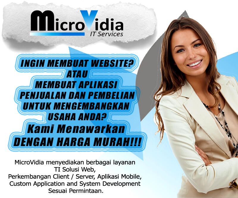 The Company Microvidia