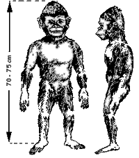 Orang Pendek, sang Cryptid dari Sumatera