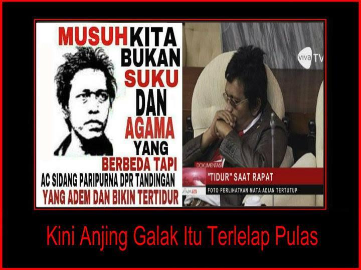 Adian cuma gayanya saja sok aktivis, kelakuan penjilat 