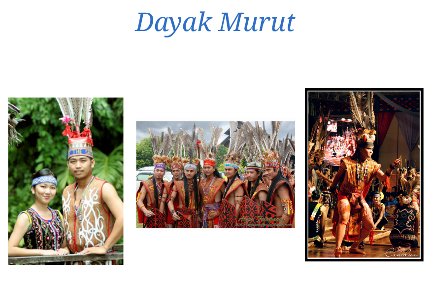 Mengenal 7 Rumpun Suku Dayak di Pulau Kalimantan