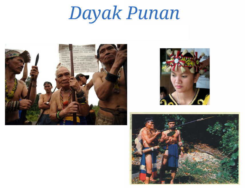 Mengenal 7 Rumpun Suku Dayak di Pulau Kalimantan