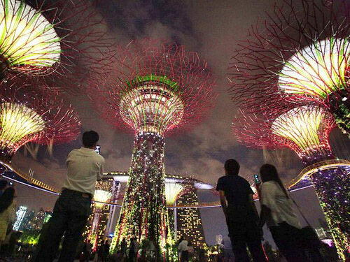 &#91;ask&#93; berfoto di Super tree grove - Gardens by The Bay Singapore Bayar?