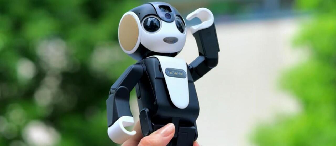 RoboHon, Si Robot Kecil, Lucu dan Canggih Pengganti Smartphone Masa Depan !